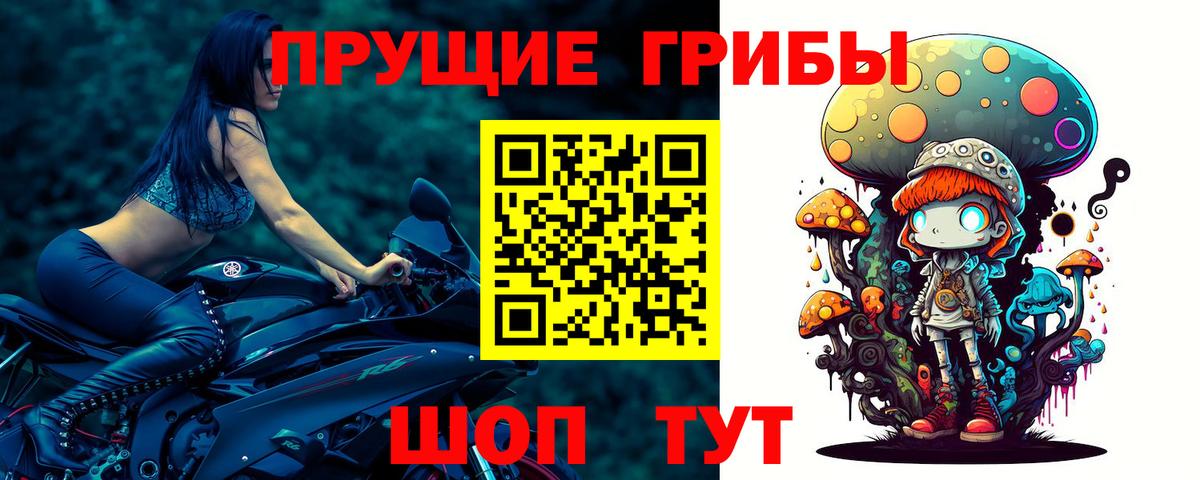 Мелеуз  Галлюциногенные грибы Cubensis  Псилоцибиновые грибы прущие грибы  как найти   Вход с VPN 